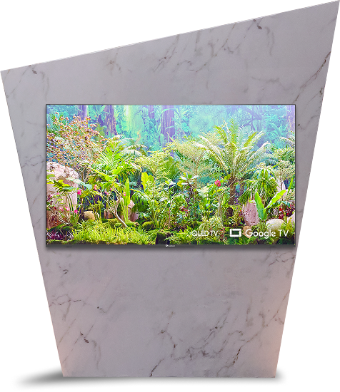 65 inch Delta LED TV