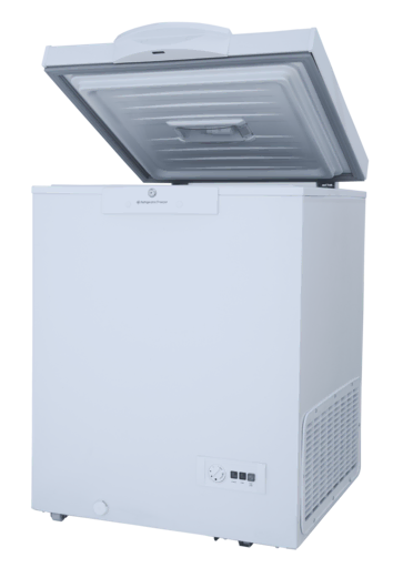 300P W Single Door Freezer